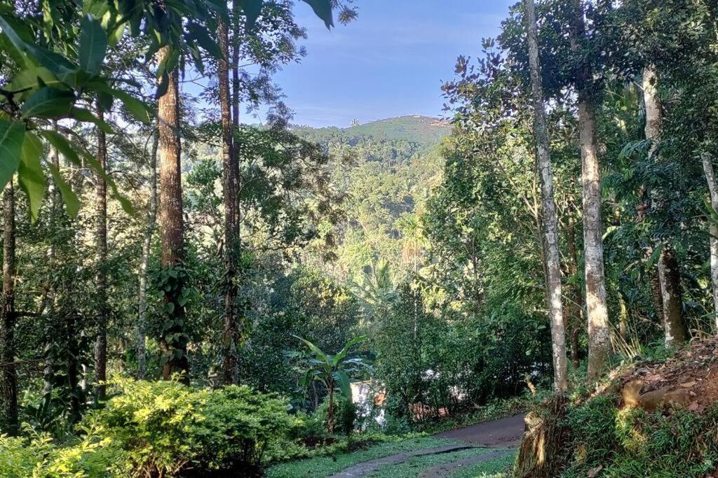 Coffee Camp Home Stay With Tree House Kattappana Buitenkant foto