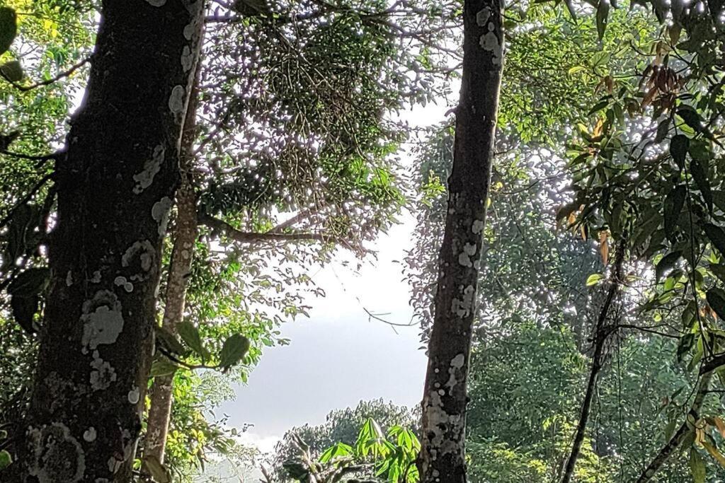 Coffee Camp Home Stay With Tree House Kattappana Buitenkant foto