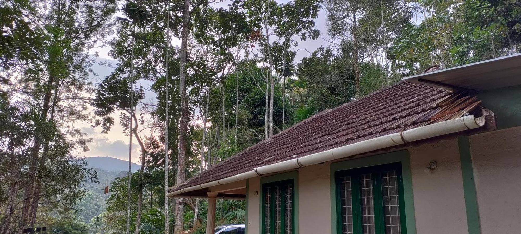 Coffee Camp Home Stay With Tree House Kattappana Buitenkant foto