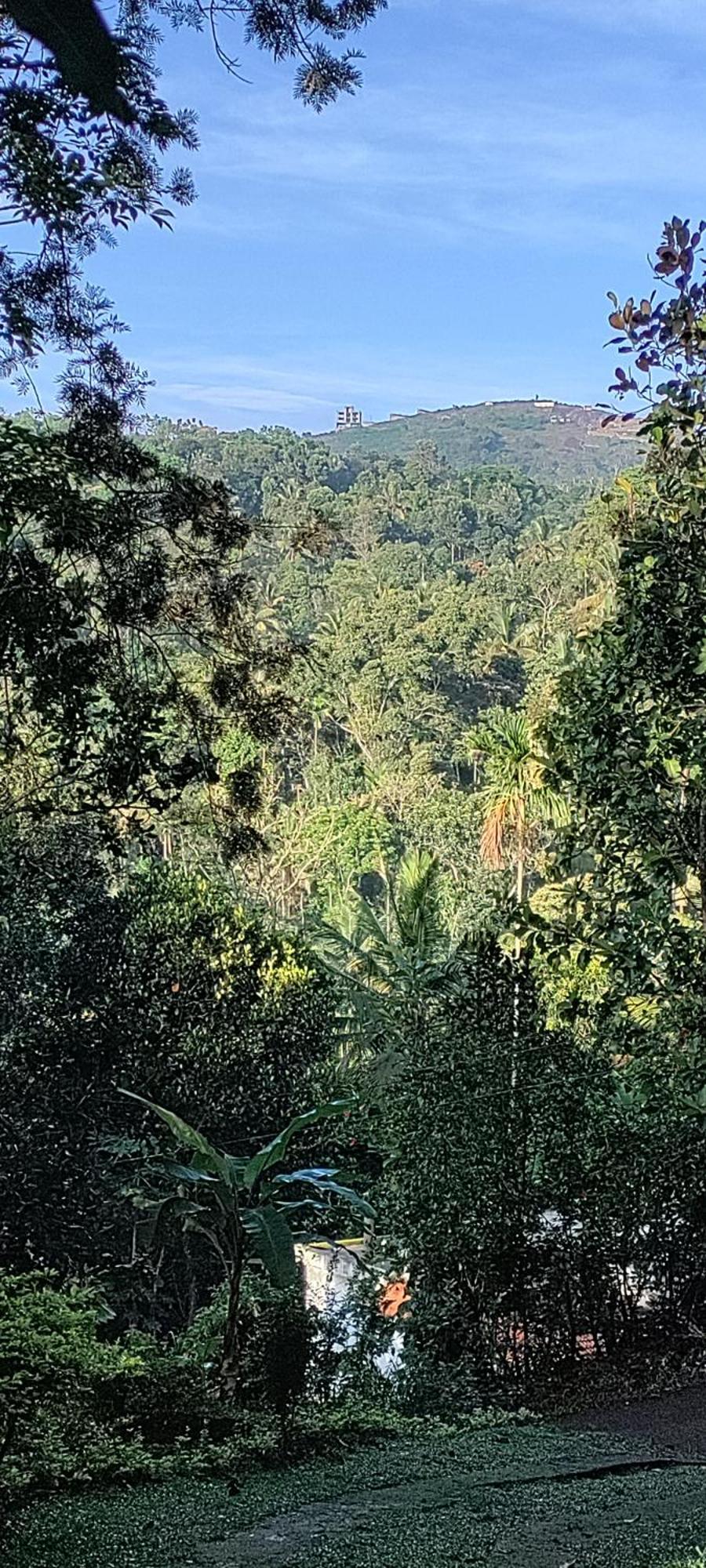 Coffee Camp Home Stay With Tree House Kattappana Buitenkant foto