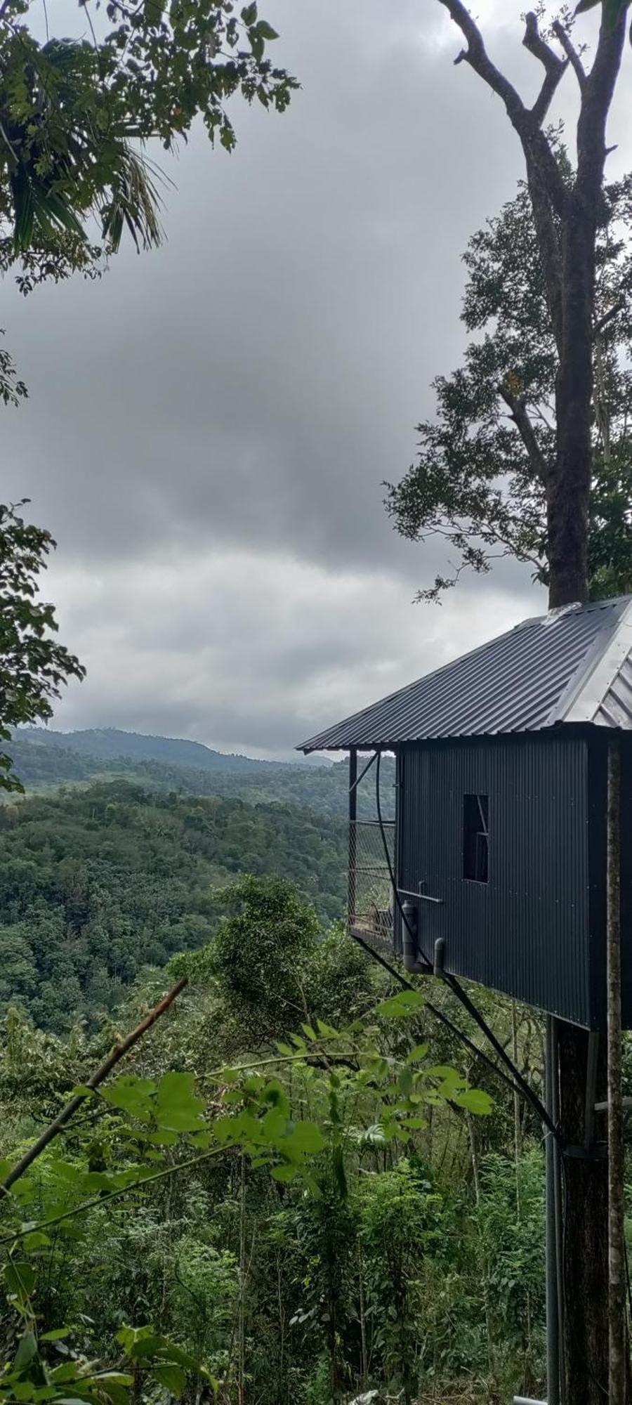 Coffee Camp Home Stay With Tree House Kattappana Buitenkant foto
